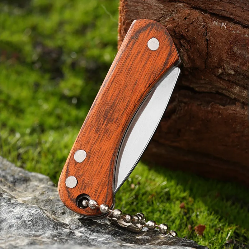 Small Keychain Pocket Knife Ev - Edc Day Carry review and price