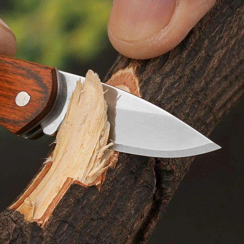 Small Keychain Pocket Knife Ev - Edc Day Carry review and price