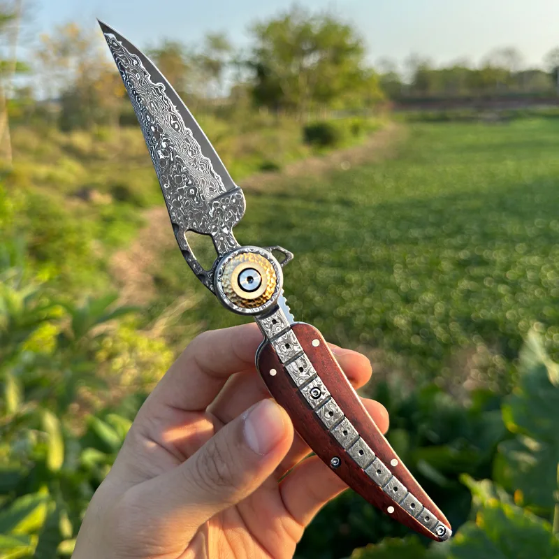 High-quality VG10 Damascus ste - Everyday Carry (Edc) Knife review and price
