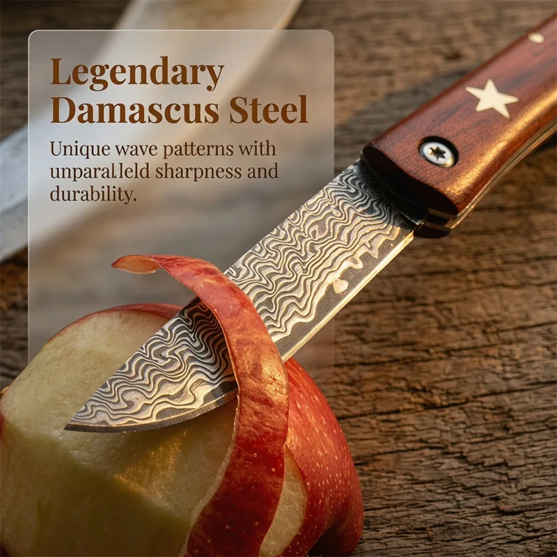 Compact Outdoor Survival Damas - Edc Fixed Blade Deep Carry review and price